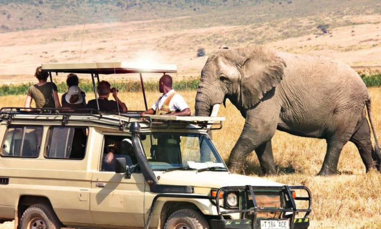 East African Safari Adventure